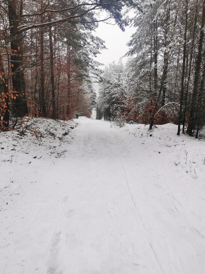 Kaszuby W Ostoja Bukowo - U Malgoski Domek 6 Z Widokiem Na Las I Internetem Villa Borowy Mlyn Dış mekan fotoğraf