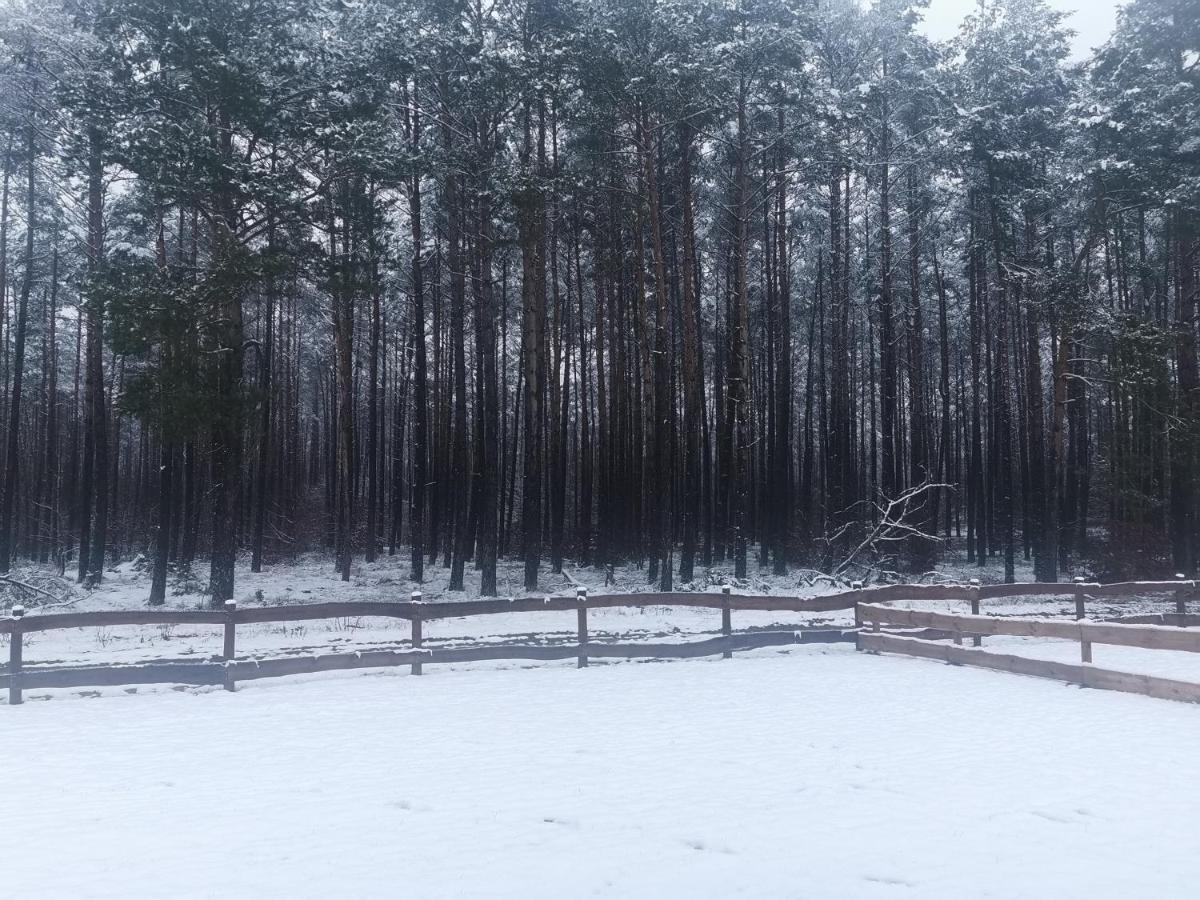 Kaszuby W Ostoja Bukowo - U Malgoski Domek 6 Z Widokiem Na Las I Internetem Villa Borowy Mlyn Dış mekan fotoğraf