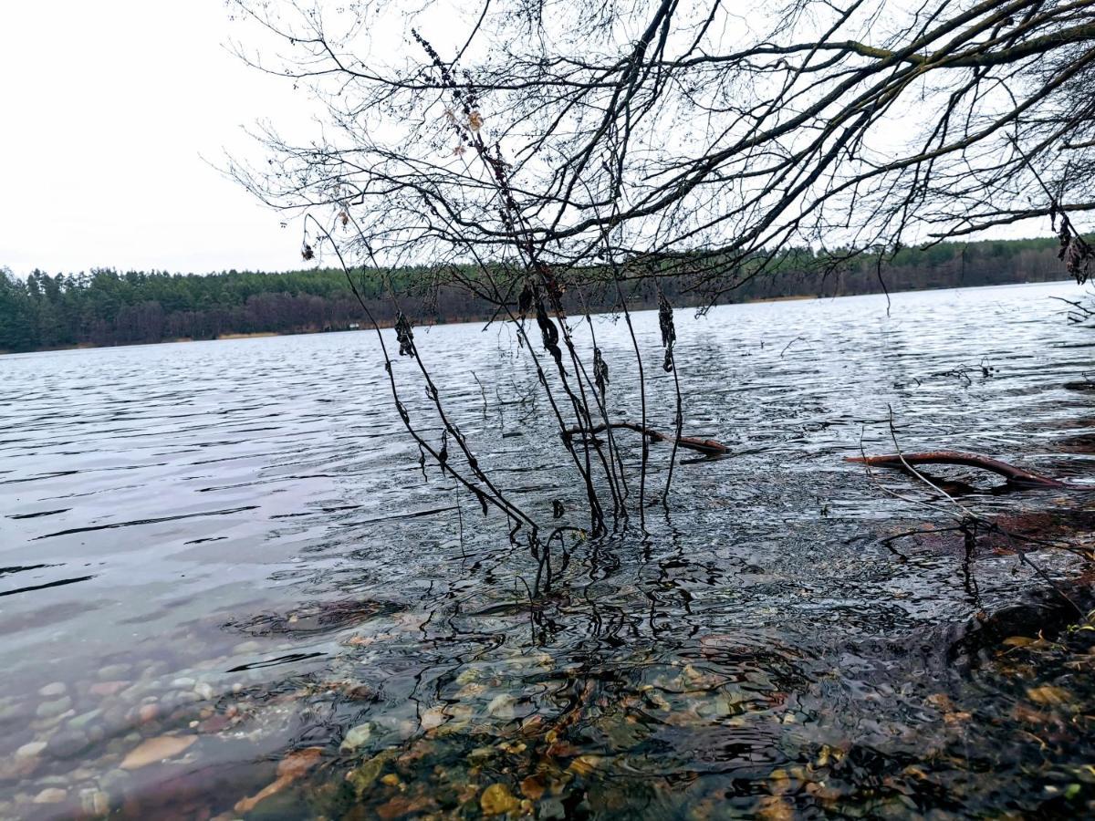 Kaszuby W Ostoja Bukowo - U Malgoski Domek 6 Z Widokiem Na Las I Internetem Villa Borowy Mlyn Dış mekan fotoğraf